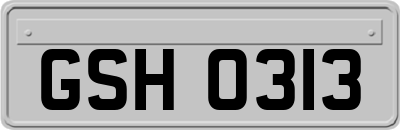 GSH0313