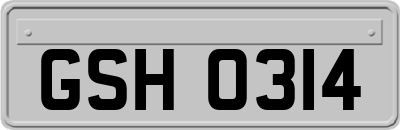 GSH0314