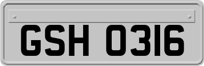 GSH0316