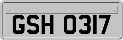 GSH0317