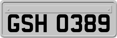 GSH0389