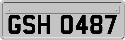 GSH0487
