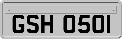 GSH0501