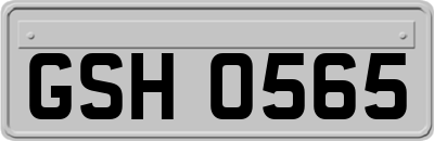 GSH0565
