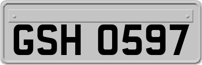 GSH0597