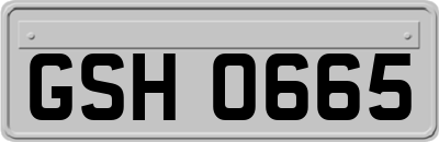 GSH0665
