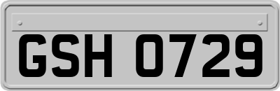 GSH0729