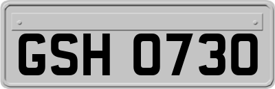 GSH0730