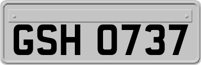 GSH0737