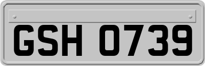 GSH0739