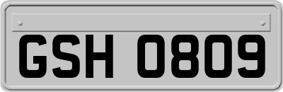 GSH0809
