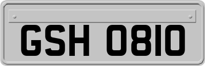 GSH0810