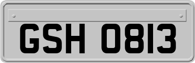 GSH0813
