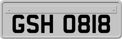 GSH0818