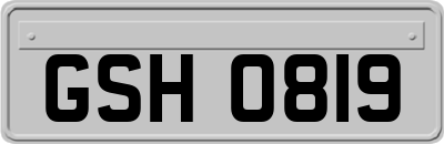 GSH0819