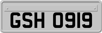 GSH0919