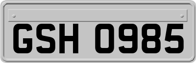 GSH0985