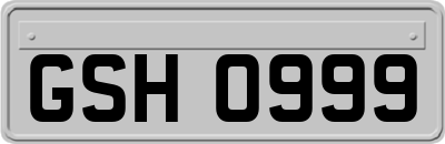 GSH0999