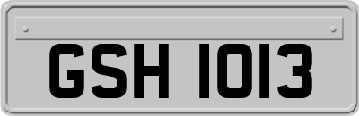 GSH1013