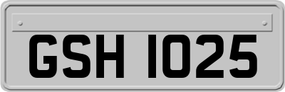 GSH1025