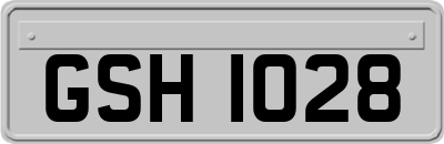 GSH1028