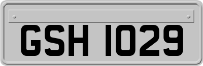 GSH1029