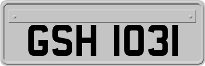 GSH1031