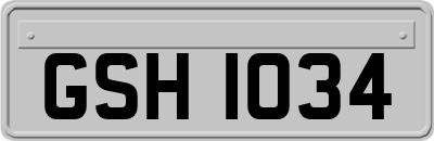 GSH1034