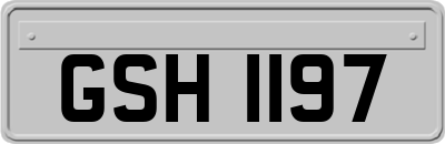GSH1197