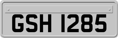 GSH1285