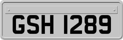 GSH1289