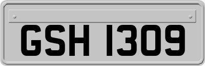 GSH1309