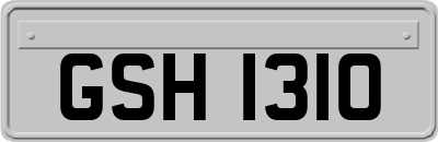 GSH1310
