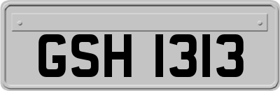 GSH1313
