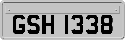 GSH1338