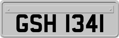 GSH1341
