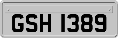 GSH1389