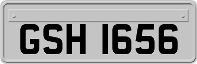 GSH1656