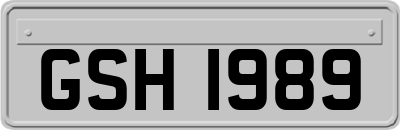 GSH1989
