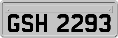 GSH2293