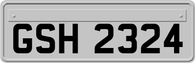 GSH2324