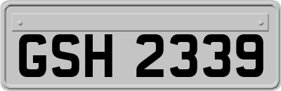 GSH2339