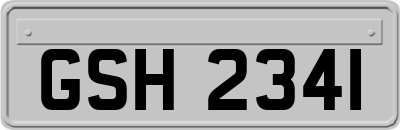 GSH2341