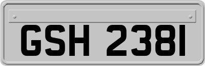 GSH2381