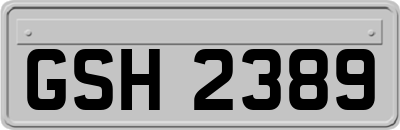 GSH2389
