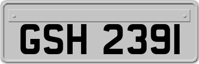 GSH2391