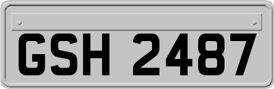 GSH2487