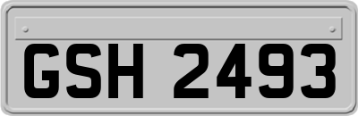 GSH2493