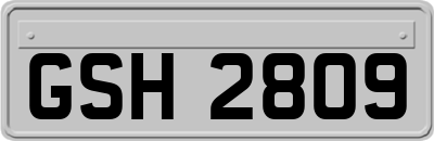 GSH2809