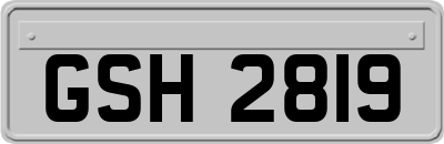 GSH2819